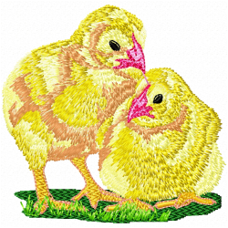 Chickens And Roosters Embroidery Design 6 Chickens And Roosters Embroidery Design 6